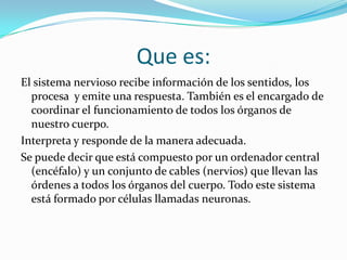 Que es:
El sistema nervioso recibe información de los sentidos, los
procesa y emite una respuesta. También es el encargado de
coordinar el funcionamiento de todos los órganos de
nuestro cuerpo.
Interpreta y responde de la manera adecuada.
Se puede decir que está compuesto por un ordenador central
(encéfalo) y un conjunto de cables (nervios) que llevan las
órdenes a todos los órganos del cuerpo. Todo este sistema
está formado por células llamadas neuronas.

 