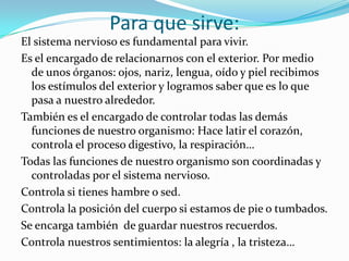 Para que sirve:
El sistema nervioso es fundamental para vivir.
Es el encargado de relacionarnos con el exterior. Por medio
de unos órganos: ojos, nariz, lengua, oído y piel recibimos
los estímulos del exterior y logramos saber que es lo que
pasa a nuestro alrededor.
También es el encargado de controlar todas las demás
funciones de nuestro organismo: Hace latir el corazón,
controla el proceso digestivo, la respiración…
Todas las funciones de nuestro organismo son coordinadas y
controladas por el sistema nervioso.
Controla si tienes hambre o sed.
Controla la posición del cuerpo si estamos de pie o tumbados.
Se encarga también de guardar nuestros recuerdos.
Controla nuestros sentimientos: la alegría , la tristeza…

 