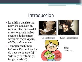 Introducción
• La misión del sistema
nervioso consiste en
recibir información del
entorno, gracias a los
órganos de los cinco
sentidos: tacto, olfato,
visión, oído y gusto.
• También recibimos
información del interior
de nuestro cuerpo (ej:
“Me ruge el estómago,
tengo hambre”).
Lo que leemos Lo que escuchamos
Tengo
hambre…
 