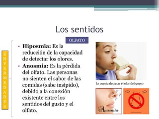 Los sentidos
• Hiposmia: Es la
reducción de la capacidad
de detectar los olores.
• Anosmia: Es la pérdida
del olfato. Las personas
no sienten el sabor de las
comidas (sabe insípido),
debido a la conexión
existente entre los
sentidos del gusto y el
olfato.
OLFATO
E
N
F
E
R
M
E
D
A
D
E
S
Le cuesta detectar el olor del queso
 