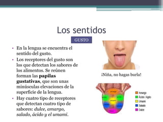 Los sentidos
• En la lengua se encuentra el
sentido del gusto.
• Los receptores del gusto son
los que detectan los sabores de
los alimentos. Se reúnen
forman las papilas
gustativas, que son unas
minúsculas elevaciones de la
superficie de la lengua.
• Hay cuatro tipo de receptores
que detectan cuatro tipo de
sabores: dulce, amargo,
salado, ácido y el umami.
GUSTO
¡Niña, no hagas burla!
 