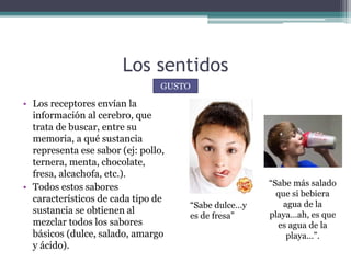 Los sentidos
• Los receptores envían la
información al cerebro, que
trata de buscar, entre su
memoria, a qué sustancia
representa ese sabor (ej: pollo,
ternera, menta, chocolate,
fresa, alcachofa, etc.).
• Todos estos sabores
característicos de cada tipo de
sustancia se obtienen al
mezclar todos los sabores
básicos (dulce, salado, amargo
y ácido).
GUSTO
“Sabe dulce…y
es de fresa”
“Sabe más salado
que si bebiera
agua de la
playa…ah, es que
es agua de la
playa…”.
 