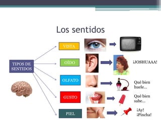 Los sentidos
TIPOS DE
SENTIDOS
VISTA
OÍDO
OLFATO
GUSTO
PIEL
¡JOSHUAAA!
Qué bien
huele…
Qué bien
sabe…
¡Ay!
¡Pincha!
 