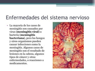 Enfermedades del sistema nervioso
• La mayoría de los casos de
meningitis son causados por
virus (meningitis viral) o
bacteria (meningitis
bacteriana), pero los hongos
y otros organismos pueden
causar infecciones como la
meningitis. Algunos casos de
meningitis son el resultado de
lesiones en la cabeza, algunos
tipos de cáncer y otras
enfermedades, o reacciones a
medicamentos.
 