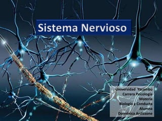 Universidad Yacambú
Carrera Psicología
Materia
Biología y Conducta
Alumna
Doménica Ardizzone
Sistema Nervioso
 