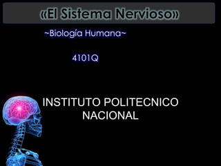 ~Biología Humana~
4101Q
INSTITUTO POLITECNICO
NACIONAL
 