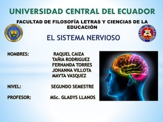 UNIVERSIDAD CENTRAL DEL ECUADOR
FACULTAD DE FILOSOFÍA LETRAS Y CIENCIAS DE LA
EDUCACIÓN
EL SISTEMA NERVIOSO
 