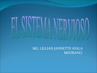 MG. LILLIAN JANNETTE AYALA MEDRANO. EL SISTEMA NERVIOSO 