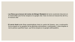 ◦ Las fibras que arrancan del núcleo de Edinger Westphal del nervio oculomotor discurren en
el mesencéfalo para formar sinapsis en el ganglio ciliar. Esta vía inerva el músculo liso del iris y
el músculo ciliar.
◦ El nervio facial emite fibras parasimpáticas hacia la cuerda del tímpano, que a continuación
forma sinapsis en los ganglios de las glándulas submaxilares o sublinguales, y otras dirigidas al
nervio petroso superficial mayor, que forma sinapsis en el ganglio esfenopalatino.
 