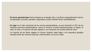 ◦ El nervio glosofaríngeo forma sinapsis en el ganglio ótico. Las fibras posganglionares inervan
las glándulas mucosas, salivales y lagrimales y portan también fibras vasodilatadoras.
◦ El vago es el más importante de los nervios parasimpáticos, ya que transmite el 75% de los
impulsos nerviosos parasimpáticos. Inerva el corazón, el árbol traqueobronquial, el hígado, el
bazo, el riñón y el conjunto del tubo digestivo, con excepción de la parte distal del colon.
◦ La mayoría de las fibras vagales no forman sinapsis hasta llegar a los pequeños ganglios
situados sobre las vísceras torácicas y abdominales y en torno a ellas.
 