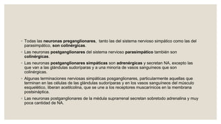 ◦ Todas las neuronas preganglionares, tanto las del sistema nervioso simpático como las del
parasimpático, son colinérgicas.
◦ Las neuronas postganglionares del sistema nervioso parasimpático también son
colinérgicas.
◦ Las neuronas postganglionares simpáticas son adrenérgicas y secretan NA, excepto las
que van a las glándulas sudoríparas y a una minoría de vasos sanguíneos que son
colinérgicas.
◦ Algunas terminaciones nerviosas simpáticas posganglionares, particularmente aquellas que
terminan en las células de las glándulas sudoríparas y en los vasos sanguíneos del músculo
esquelético, liberan acetilcolina, que se une a los receptores muscarínicos en la membrana
postsináptica.
◦ Las neuronas postganglionares de la médula suprarrenal secretan sobretodo adrenalina y muy
poca cantidad de NA.
 