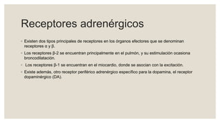 Receptores adrenérgicos
◦ Existen dos tipos principales de receptores en los órganos efectores que se denominan
receptores α y β.
◦ Los receptores β-2 se encuentran principalmente en el pulmón, y su estimulación ocasiona
broncodilatación.
◦ Los receptores β-1 se encuentran en el miocardio, donde se asocian con la excitación.
◦ Existe además, otro receptor periférico adrenérgico específico para la dopamina, el receptor
dopaminérgico (DA).
 