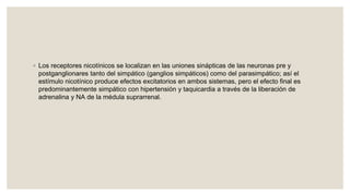 ◦ Los receptores nicotínicos se localizan en las uniones sinápticas de las neuronas pre y
postganglionares tanto del simpático (ganglios simpáticos) como del parasimpático; así el
estímulo nicotínico produce efectos excitatorios en ambos sistemas, pero el efecto final es
predominantemente simpático con hipertensión y taquicardia a través de la liberación de
adrenalina y NA de la médula suprarrenal.
 
