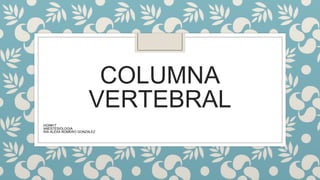 COLUMNA
VERTEBRAL
HGR#17
ANESTESIOLOGIA
RIA ALEXA ROMERO GONZALEZ
 
