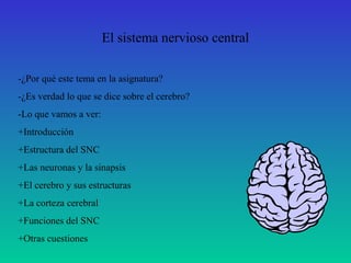 El sistema nervioso central
-¿Por qué este tema en la asignatura?
-¿Es verdad lo que se dice sobre el cerebro?
-Lo que vamos a ver:
+Introducción
+Estructura del SNC
+Las neuronas y la sinapsis
+El cerebro y sus estructuras
+La corteza cerebral
+Funciones del SNC
+Otras cuestiones
 