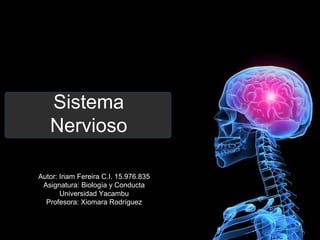 Sistema
Nervioso
Autor: Iriam Fereira C.I. 15.976.835
Asignatura: Biología y Conducta
Universidad Yacambu
Profesora: Xiomara Rodríguez
 