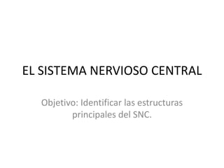 EL SISTEMA NERVIOSO CENTRAL  Objetivo: Identificar las estructuras principales del SNC.  
