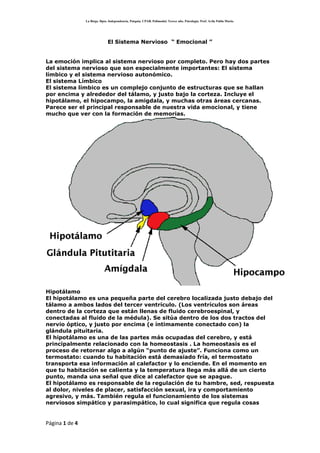 El Sistema Nervioso  “ Emocional ”<br />La emoción implica al sistema nervioso por completo. Pero hay dos partes del sistema nervioso que son especialmente importantes: El sistema límbico y el sistema nervioso autonómico. <br />El sistema Límbico <br />El sistema límbico es un complejo conjunto de estructuras que se hallan por encima y alrededor del tálamo, y justo bajo la corteza. Incluye el hipotálamo, el hipocampo, la amigdala, y muchas otras áreas cercanas. Parece ser el principal responsable de nuestra vida emocional, y tiene mucho que ver con la formación de memorias. <br />Hipotálamo <br />El hipotálamo es una pequeña parte del cerebro localizada justo debajo del tálamo a ambos lados del tercer ventrículo. (Los ventrículos son áreas dentro de la corteza que están llenas de fluido cerebroespinal, y conectadas al fluido de la médula). Se sitúa dentro de los dos tractos del nervio óptico, y justo por encima (e íntimamente conectado con) la glándula pituitaria. <br />El hipotálamo es una de las partes más ocupadas del cerebro, y está principalmente relacionado con la homeostasis . La homeostasis es el proceso de retornar algo a algún “punto de ajuste”. Funciona como un termostato: cuando tu habitación está demasiado fría, el termostato transporta esa información al calefactor y lo enciende. En el momento en que tu habitación se calienta y la temperatura llega más allá de un cierto punto, manda una señal que dice al calefactor que se apague. <br />El hipotálamo es responsable de la regulación de tu hambre, sed, respuesta al dolor, niveles de placer, satisfacción sexual, ira y comportamiento agresivo, y más. También regula el funcionamiento de los sistemas nerviosos simpático y parasimpático, lo cual significa que regula cosas como el pulso, la presión sanguínea, la respiración, y la activación fisiológica en respuesta a circunstancias emocionales. <br />El hipotálamo recibe entradas desde varias fuentes. Desde el nervio vago, adquiere información sobre la presión sanguínea y la distensión de la tripa (eso es, cuanto de lleno está tu estómago). Desde la formación reticular en el tronco cerebral, obtiene información sobre la temperatura de la piel. Desde el nervio óptico, recibe información sobre la luz y la oscuridad. Desde neuronas no usuales que forran los centrículos, recibe información sobre los contenidos del fluido cerebroespinal, incluyendo a las toxinas que llevan al vómito. Y desde otras partes del sistema límbico y los nervios olfatorios (del olfato), se recibe información que ayuda a regular la comida y la sexualidad. El hipotálamo también tiene algunos receptores propios, que le proveen información sobre el balance iónico y la temperatura de la sangre. <br />Según uno de los descubrimientos más recientes, parece que hay una proteína llamada leptina que es liberada por las células grasas cuando comemos demasiado. El hipotálamo aparentemente percibe los niveles de leptina en el torrente sanguíneo y responder con un decremento del apetito. Podría parecer que algunas personas tienen una mutación genética en un gen que produce la leptina, y sus cuerpos no pueden decir al hipotálamo que ellos han comido suficiente. De cualquier forma, muchas personas con sobrepeso no tienen esta mutación, ¡por lo que hay aun mucha investigación que hacer! <br />El hipotálamo envía instrucciones al resto del cuerpo de dos formas. La primera de ellas es hacia el sistema nervioso autonómico . Esto permite al hipotálamo tener el control último de cosas como la presión sanguinea, la tasa cardiaca, la respiración, la digestión, el sudor, y todas las funciones simpáticas y parasimpáticas. <br />La otra forma en la que el hipotálamo controla las cosas es mediante la glándula pituitaria . Está neurológica y químicamente conectada a la pituitaria, la cual bombea de forma alternada hormonas llamadas factores de liberación en el torrente sanguíneo. Como sabes, la pituitaria es llamada “glándula maestra”, y esas hormonas son de importancia vital en la regulación del crecimiento y el metabolismo. <br />El Hipocampo <br />El hipocampo consiste en dos “cuernos” que describen una curva desde el área del hipotálamo hasta la amígdala. Parece ser muy importante en convertir las cosas que están “en tu mente” ahora (en la memoria a corto plazo) en cosas que recordarás por un largo tiempo (memoria a largo plazo). Si el hipocampo es dañado, una persona no puede construir nuevas memorias, y vive en un lugar extraño donde todo lo que experimenta simplemente se desvanece, ¡incluso mientras que las memorias más antiguas antes del daño permanecen intactas! Esta situación tan desafortunada está bastante bien descrita en la maravillosa película Memento. <br />Amigdala <br />La amígdala es una masa con forma de dos almendras que se sitúan a ambos lados del tálamo en el extremo inferior del hipocampo. Cuando es estimulado eléctricamente, los animales responden con agresión. Y si la amígdala es extirpada, los animales se vuelven muy dóciles y no vuelven a responder a cosas que antes les a habrían causado rabia. Pero hay mas cosas en ella que solo ira: Cuando se extirpa, los animales se vuelven también indiferentes a estímulos que podrían de otra manera haberles causado miedo e incluso respuestas sexuales. <br />Areas Relacionadas <br />Bajo el hipotálamo, el hipocampo, y la amígdala, hay otras áreas en las estructuras cercanas al sistema límbico que están íntimamente conectadas a el: <br />El giro cingulado es la parte de la corteza situada cerca del sistema límbico. Proporciona una vía que va desde el tálamo hasta el hipocampo, y parece ser responsable de la asociación de memorias a olores y al dolor. <br />El area septal , que se halla frete al tálamo, tiene algunas neuronas que parecen ser centros del orgasmo (una para los chicos, cuatro para las chicas). <br />El área ventral tegmental del tronco cerebral (justo debajo del tálamo) consiste en vías de dopamina que parecen ser responsables del placer. La gente con un daño en este lugar tiende a tener dificultades consiguiendo placer en la vida, y a menudo caen en el alcohol, las drogas, los dulces y el juego. <br />El cortex prefrontal , que es la parte del lóbulo frontal que se encuentra en frente del área motora, está también unido estrechamente al sistema límbico. Además de aparentemente estar implicado en pensar sobre el futuro, hacer planes, y realizar acciones, también parece estar involucrado en las mismas vías de dopamina que el área ventral tegmental, y juega un papel en el placer y la adicción. <br />El sistema nervioso autonómico <br />La segunda parte del sistema nervioso que tiene un papel particularmente potente que jugar en nuestra vida emocional es el sistema nervioso autonómico. El sistema nervioso autonómico está compuesto de dos partes, las cuales funcionan principalmente en oposición una a la otra. La primera de ellas es el sistema nervioso simpático, el cual comienza en la médula espinal y viaja hacia una gran variedad de áreas del cuerpo. Su función parece ser preparar al cuerpo para el tipo de actividades vigorosas asociadas con la huida o lucha, esto es, con la huida del peligro o con la preparación para la violencia. <br />La activación del sistema nervioso simpático tiene los siguientes efectos: <br />Dilata las pupilas Abre los párpados estimula las glándulas sudoríparas dilata los vasos sanguíneos en los músculos grandes constriñe los vasos sanguíneos en el resto del cuerpo incrementa la tasa cardiaca abre los tubos bronquiales de los pulmones inhibe las secreciones en el sistema digestivo <br />Uno de los sus efectos más importantes es provocar que las glándulas adrenales liberen epinefrina (aka adrenalina) en el torrente sanguíneo. La epinefrina es una poderosa hormona que causa que varias partes del cuerpo respondan de la misma forma que el sistema nervioso simpático. Una vez en el torrente sanguíneo, tarda un poco en parar sus efectos. ¡Esta es la razón de que, cuando estas enfadado, algunas veces tardes un poco antes de que te calmes de nuevo!<br />El sistema nervioso simpático también lleva información, la mayoría concerniente al dolor de los órganos internos. Debido a que los nervios que llevan información sobre el dolor de los órganos a menudo viajan a través de las mismas vías que llevan información del dolor desde áreas más superficiales del cuerpo, la información a veces se confunde. Esto es llamado dolor referido, y el ejemplo más conocido es el dolor que alguna gente siente en los hombros y brazos cuando están teniendo un infarto. <br />La otra parte del sistema nervioso autonómico es llamada sistema nervioso parasimpático . Tiene sus raíces en el tronco cerebral y en la médula espinal de la espalda baja. Su función es traer de vuelta al cuerpo desde la situación de emergencia a la que lo llevó el sistema nervioso simpático. <br />Algunos detalles de la activación de la activación parasimpático incluyen … <br />constricción pupilar activación de las glándulas salivares estimulación de las secreciones del estómago estimulación de la actividad de los intestinos estimulación de las secreciones en los pulmones constricción de los tubos bronquiales decremento de la tasa cardiaca<br />El sistema nervioso parasimpático también tiene algunas capacidades sensoriales: recibe información sobre la presión sanguínea, niveles de dióxido de carbono, y demás.<br />Hay realmente otra parte más del sistema nervioso autonómico que no mencionamos muy a menudo: El sistema nervioso entérico. Este es un complejo de nervios que regulan la actividad del estómago. Cuando enfermas del estómago o sientes mariposas cuando estas nervioso, puedes culpar al sistema nervioso entérico.<br />