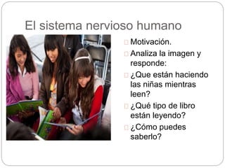 El sistema nervioso humano
Motivación.
Analiza la imagen y
responde:
¿Que están haciendo
las niñas mientras
leen?
¿Qué tipo de libro
están leyendo?
¿Cómo puedes
saberlo?
 