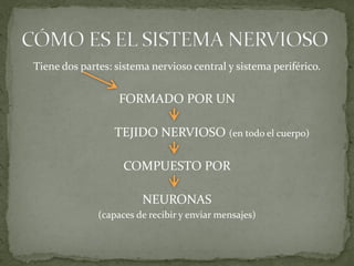 Tiene dos partes: sistema nervioso central y sistema periférico.


                   FORMADO POR UN

                  TE...
