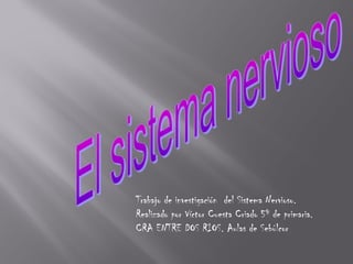 Trabajo de investigación del Sistema Nervioso.
Realizado por Víctor Cuesta Criado 5º de primaria.
CRA ENTRE DOS RIOS. Aulas de Sebúlcor
 