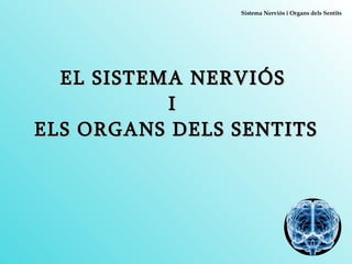 EL SISTEMA NERVIÓS  I  ELS ORGANS DELS SENTITS 