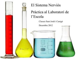 El Sistema Nerviós
Pràctica al Laboratori de
l’Escola
     Classes Sant Jordi i Canigó
     Desembre 2012
 