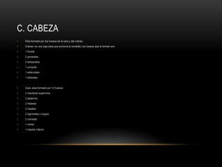 C. CABEZA
• Esta formado por los huesos de la cara y del cráneo.
• Cráneo: es una caja ósea que encierra el encefalo; los huesos que lo forman son:
• 1 frontal
• 2 parietales
• 2 temporales
• 1 occipital
• 1 esfenoides
• 1 etmoides
• Cara: esta formado por 12 huesos:
• 2 maxilares superiores
• 2 palatinos
• 2 malares
• 2 nasales
• 2 lagrimales o unguis
• 2 cornetes
• 1 vómer
• 1 maxilar inferior
 
