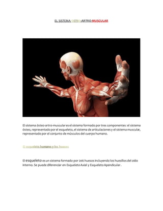 EL SISTEMA -ARTRO-MUSCULAR
El sistema ósteo-artro-muscularesel sistema formado por tres componentes: el sistema
ósteo, representadoporel esqueleto, el sistema de articulacionesy el sistema muscular,
representado por el conjunto de músculos del cuerpo humano.
El esqueleto esun sistema formado por 206 huesos incluyendo los huesillosdel oído
interno. Se puede diferenciar en EsqueletoAxial y EsqueletoApendicular.
 