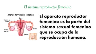El aparato reproductor
femenino es la parte del
sistema sexual femenino
que se ocupa de la
reproducción humana.
 