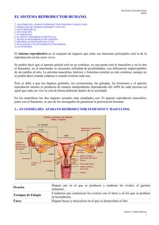 MATURITA DE BIOLOGÍA
                                                                                                   GBZA
EL SISTEMA REPRODUCTOR HUMANO.
1. ANATOMÍA DEL APARATO REPRODUCTOR FEMENINO Y MASCULINO.
2. FORMACIÓN DE ESPERMATOZOIDES Y ÓVULOS.
3. CICLO MENSTRUAL.
4. FECUNDACIÓN.
5. EL EMBARAZO.
6. EL PARTO Y DESARROLLO POSTNATAL.
7. TÉCNICAS DE REPRODUCCIÓN ASISTIDA.
8. MÉTODOS ANTICONCEPTIVOS Y ETS.
9. SEXUALIDAD Y PLANTEAMIENTO ÉTICO-MORAL
10. ACTIVIDADES.


El sistema reproductivo es el conjunto de órganos que entre sus funciones principales está la de la
reproducción en los seres vivos.

Se podría decir que el aparato genital está en un continuo, en una punta está el masculino y en la otra
el femenino, en el intermedio se encuentra infinidad de posibilidades, con diferencias imperceptibles
de un cambio al otro. La persona masculina, intersex y femenina estarían en este continuo, aunque no
se podría decir cuando empieza o cuando termina cada una.

Ésto se debe a que los órganos genitales, los cromosomas, las gónadas, las hormonas y el aparato
reproductor interno se producen de manera independiente dependiendo del ADN de cada persona (al
igual que cada ser vivo se cría de forma diferente dentro de la sociedad).

En los mamíferos los dos órganos sexuales más estudiados son: El aparato reproductor masculino,
junto con el femenino, es uno de los encargados de garantizar la procreación humana.

1.- ANATOMÍA DEL APARATO REPRODUCTOR FEMENINO Y MASCULINO.




                             Órgano par en el que se producen y maduran los óvulos, el gameto
Ovarios
                             femenino.
                             Conductos que comunican los ovarios con el útero y en los que se produce
Trompas de Falopio
                             la fecundación.
Útero                        Órgano hueco y musculoso en el que se desarrollará el feto.


                                                                                     Rafael A. Medel Martínez
                                                                                                            1
 