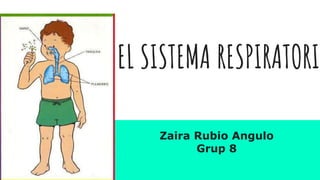 EL SISTEMA RESPIRATORI
Zaira Rubio Angulo
Grup 8
 