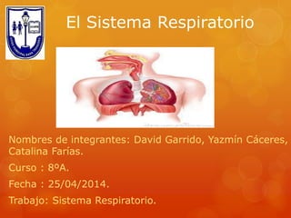 El Sistema Respiratorio
Nombres de integrantes: David Garrido, Yazmín Cáceres,
Catalina Farías.
Curso : 8ºA.
Fecha : 25/04/2014.
Trabajo: Sistema Respiratorio.
 
