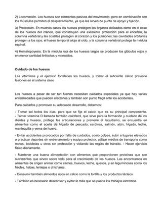 2) Locomoción. Los huesos son elementos pasivos del movimiento, pero en combinación con
los músculos permiten el desplazamiento, ya que les sirven de punto de apoyo y fijación.

3) Protección. En muchos casos los huesos protegen los órganos delicados como en el caso
de los huesos del cráneo, que constituyen una excelente protección para el encéfalo; la
columna vertebral y las costillas protegen al corazón y los pulmones; las cavidades orbitarias
protegen a los ojos; el hueso temporal aloja al oído, y la columna vertebral protege la médula
espinal.

4) Hematopoyesis. En la médula roja de los huesos largos se producen los glóbulos rojos y
en menor cantidad linfocitos y monocitos.



Cuidado de los huesos

Las vitaminas y el ejercicio fortalecen los huesos, y tomar el suficiente calcio previene
lesiones en el sistema óseo



Los huesos a pesar de ser tan fuertes necesitan cuidados especiales ya que hay varias
enfermedades que pueden afectarlos y también son punto frágil ante los accidentes.

Para cuidarlos y promover su adecuado desarrollo, debemos:

- Tomar sol todos los días, para que se fije el calcio que      es su principal componente.
- Tomar vitamina D llamada también calciferol, que sirve para   la formación y cuidado de los
dientes y huesos, protege las articulaciones y previene el       raquitismo, se encuentra en
alimentos como el aceite de hígado de pescado, sardinas,        salmón, atún, hígado, leche,
mantequilla y yema de huevo.

- Evitar accidentes provocados por falta de cuidados, como golpes, subir a lugares elevados
o practicar deportes sin entrenamiento y equipo protector, utilizar medios de transporte como
motos, bicicletas u otros sin protección y violando las reglas de tránsito. - Hacer ejercicio
físico diariamente.

- Mantener una buena alimentación con alimentos que proporcionen proteínas que son
nutrimentos que sirven sobre todo para el crecimiento de los huesos. Las encontramos en
alimentos de origen animal como carnes, huevos, leche, quesos, y en leguminosas como los
frijoles, habas, lentejas o chícharos.

- Consumir también alimentos ricos en calcio como la tortilla y los productos lácteos.

- También es necesario descansar y evitar lo más que se pueda los trabajos extremos.
 