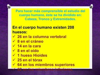 Para hacer más comprensible el estudio del
   cuerpo humano, éste se ha dividido en:
      Cabeza, Tronco y Extremidades.

En el cuerpo humano existen 208
huesos:
 26 en la columna vertebral
 8 en el cráneo
 14 en la cara
 8 en el oído
 1 hueso Hioides
 25 en el tórax
 64 en los miembros superiores
 62 en los miembros inferiores
 