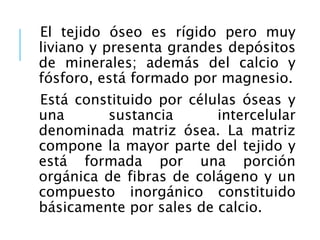 El tejido óseo es rígido pero muy
liviano y presenta grandes depósitos
de minerales; además del calcio y
fósforo, está formado por magnesio.
Está constituido por células óseas y
una sustancia intercelular
denominada matriz ósea. La matriz
compone la mayor parte del tejido y
está formada por una porción
orgánica de fibras de colágeno y un
compuesto inorgánico constituido
básicamente por sales de calcio.
 