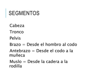 SEGMENTOS
Cabeza
Tronco
Pelvis
Brazo = Desde el hombro al codo
Antebrazo = Desde el codo a la
muñeca
Muslo = Desde la cadera a la
rodilla
 