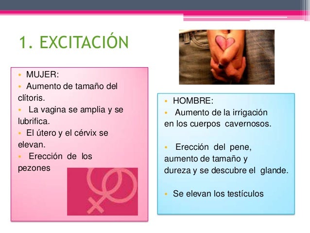 Pequeño voldyri sobre el miembro de que
