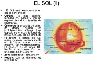 EL SOL (ll) El Sol está estructurado en capas concéntricas: Corona : la más externa, formada por gases y con un espesor de cientos de miles de kilómetros. Cromosfera  o esfera de color: de donde surgen las protuberancias solares (una especie de lenguas de fuego de hasta 2000.000 km de longitud) Fotosfera  o esfera de luz: masa gaseosa incandescente en la que existen zonas oscuras, “las manchas solares”. El espesor es de unos 400 Km.Zona de convección: con un grosor de 140.000 km Zona radiactiva :  380.000 km Núcleo : con un diámetro de 600.000 Km 