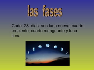 las  fases Cada  28  dias: son luna nueva, cuarto creciente, cuarto menguante y luna llena 