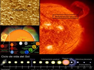 Fotósfera
Protuberancias solares

 