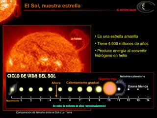 • Es una estrella amarilla
• Tiene 4.600 millones de años
• Produce energía al convertir
hidrógeno en helio
Comparación de tamaño entre el Sol y La Tierra
El Sol, nuestra estrella
Ahora
Nacimiento
Calentamiento gradual
Gigante roja
Nebulosa planetaria
Enana blanca
 
