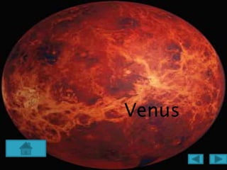 Venus
 