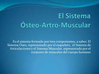 Es el sistema formado por tres componentes, a saber, El
Sistema Óseo, representado por el esqueleto, el Sistema de
Articulaciones y el Sistema Muscular, representado por el
conjunto de músculos del cuerpo humano

 