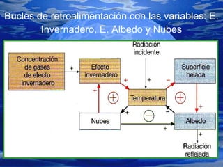 Bucles de retroalimentación con las variables: E. Invernadero, E. Albedo y Nubes 
