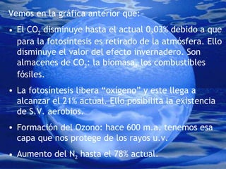 Vemos en la gráfica anterior que: El CO 2  disminuye hasta el actual 0,03% debido a que para la fotosíntesis es retirado de la atmósfera. Ello disminuye el valor del efecto invernadero. Son almacenes de CO 2 : la biomasa, los combustibles fósiles. La fotosíntesis libera “oxígeno” y este llega a alcanzar el 21% actual. Ello posibilita la existencia de S.V. aerobios. Formación del Ozono: hace 600 m.a. tenemos esa capa que nos protege de los rayos u.v. Aumento del N 2  hasta el 78% actual. 
