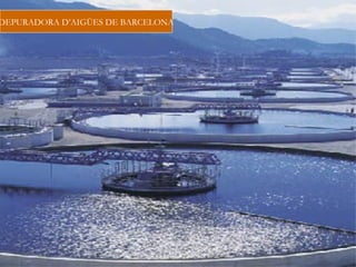 DEPURADORA D’AIGÜES DE BARCELONA
 