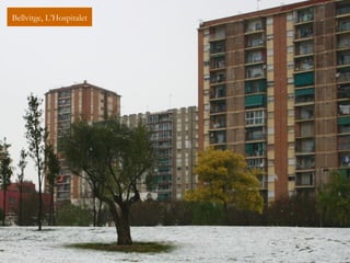 Bellvitge, L’Hospitalet
 