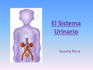El Sistema
Urinario
Susana Ricra
 