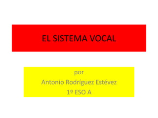 EL SISTEMA VOCAL


           por
Antonio Rodríguez Estévez
        1º ESO A
 